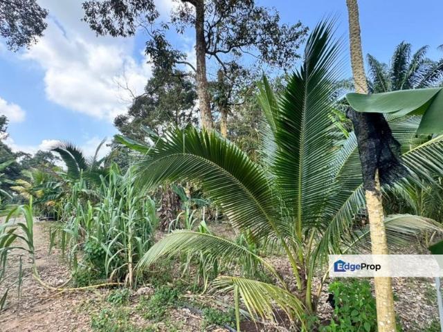 Shop for sale in Bukit Ledang, Johor