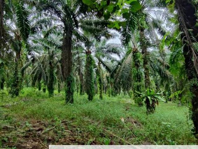 Shop for sale in Johore Bahru, Johor