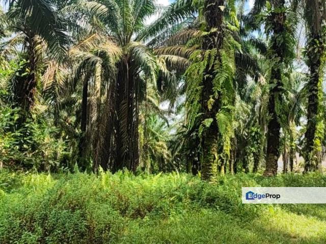 Warehouse for sale in Ulu Tiram, Johor