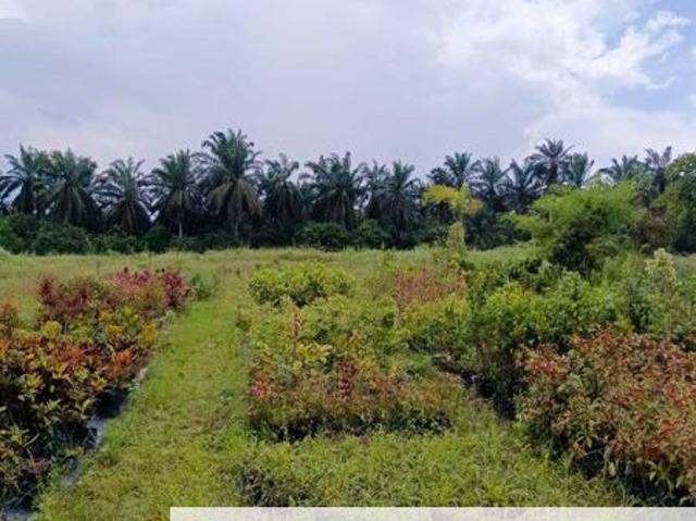 Warehouse for rent in Ulu Tiram, Johor