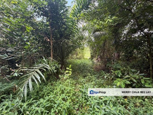 Shop for sale in Johore Bahru, Johor