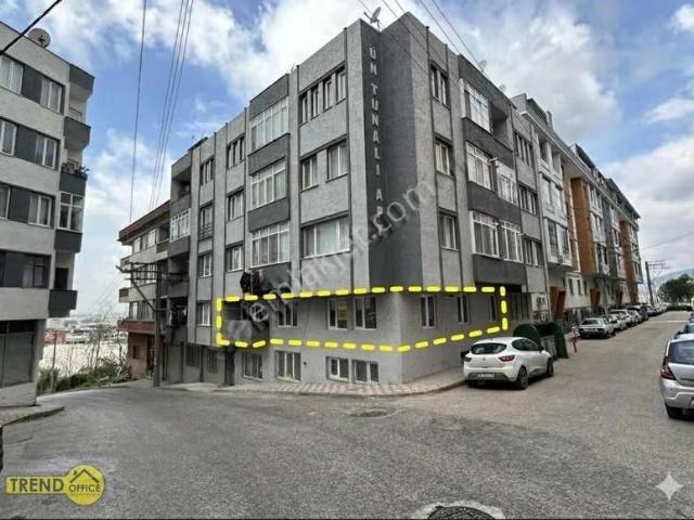 Karacabey, Bursa içerisinde satılık mülk