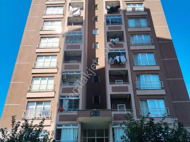İlkadim, Samsun içerisinde kiralık mülk