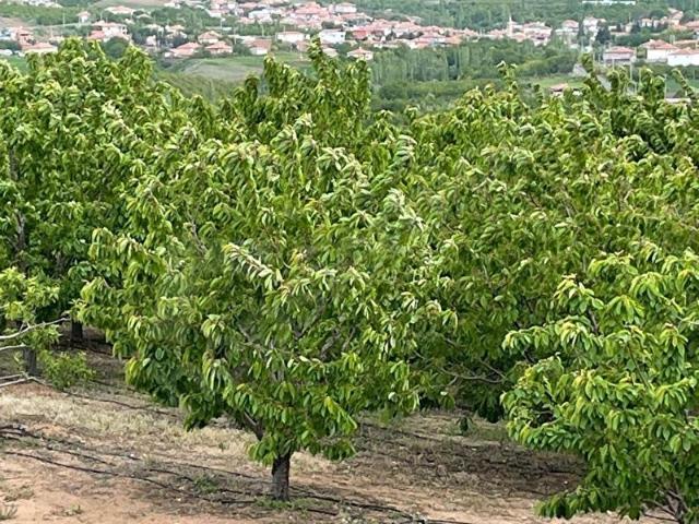 Niğde içerisinde satılık mülk