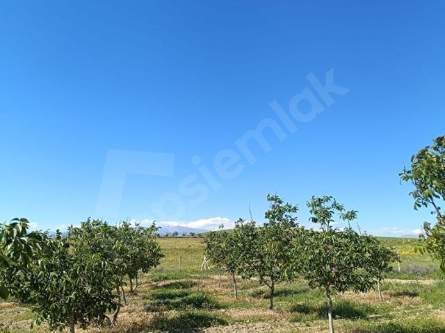 Niğde içerisinde satılık Arsa