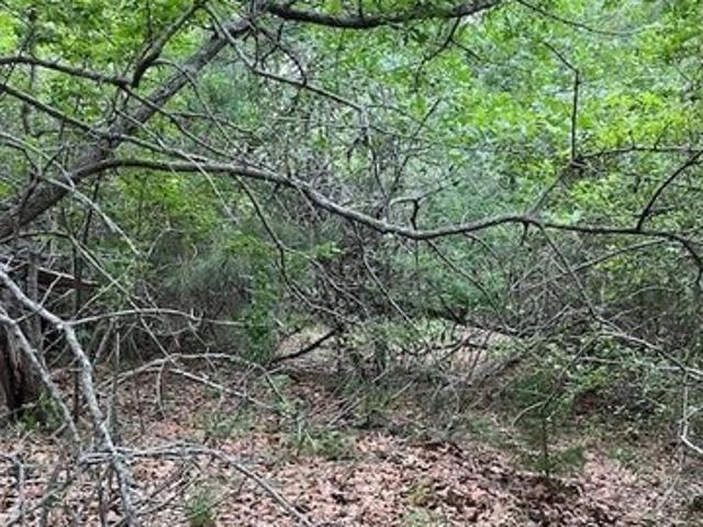 Land for sale in Bastrop, Texas