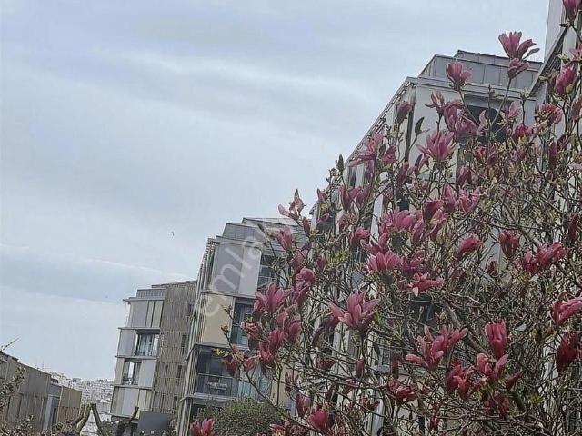 Beşiktaş, İstanbul içerisinde kiralık mülk
