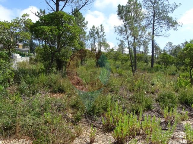 Terreno venda em Pombal, Leiria