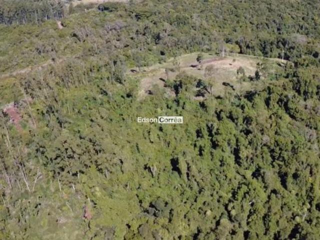 Sítio e chácara venda em Região Geográfica Imediata de Taquara - Parobé - Igrejinha, Região Metropolitana de Porto Alegre