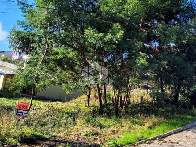 Terreno venda em Farroupilha