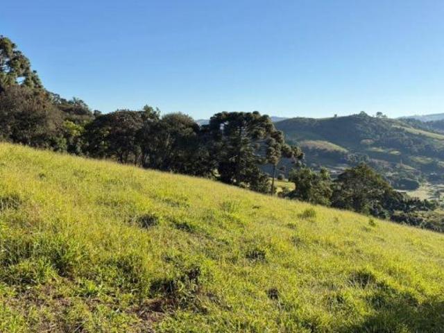 Terreno venda em Bueno Brandão, Região Geográfica Intermediária de Pouso Alegre