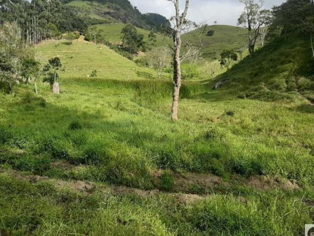 Sítio e chácara venda em Região Imediata de São José dos Campos, Região Metropolitana do Vale do Paraíba e Litoral Norte