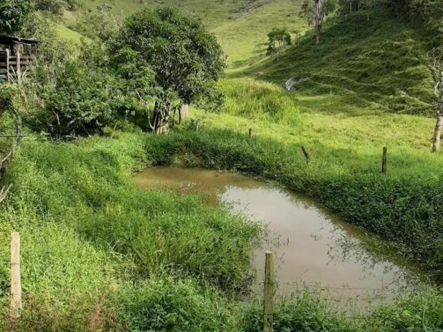 Sítio e chácara venda em Região Imediata de São José dos Campos, Região Metropolitana do Vale do Paraíba e Litoral Norte