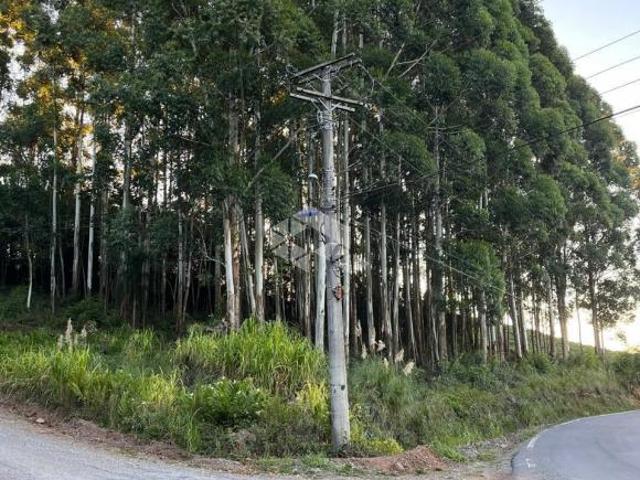 Terreno venda em Pinto Bandeira, Região Geográfica Intermediária de Caxias do Sul