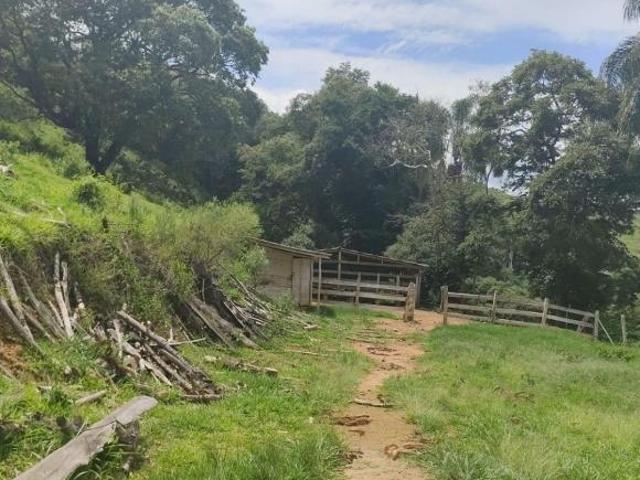 Sítio e chácara venda em Região Geográfica Imediata de Pouso Alegre, Bueno Brandão
