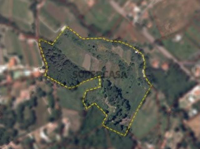 Terreno venda em Sintra, Lisboa