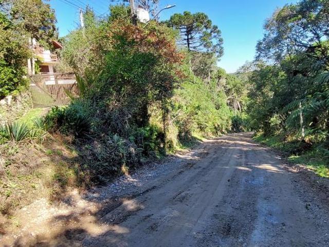 Sítio e chácara venda em Piraquara, Região Geográfica Intermediária de Curitiba