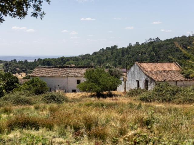Quinta venda em Reguengo e São Julião, Portalegre
