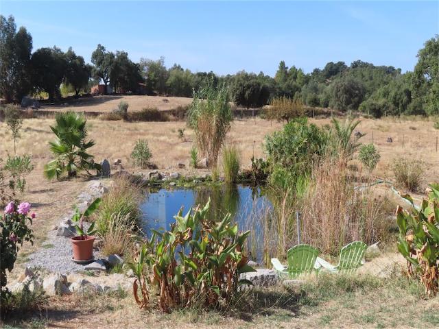Casa venda em Bairro do Barrocal, Castelo Branco