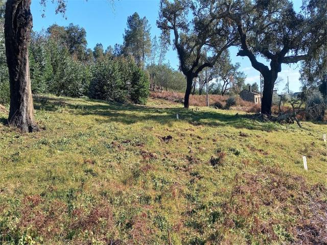 Quinta venda em Castelo Branco