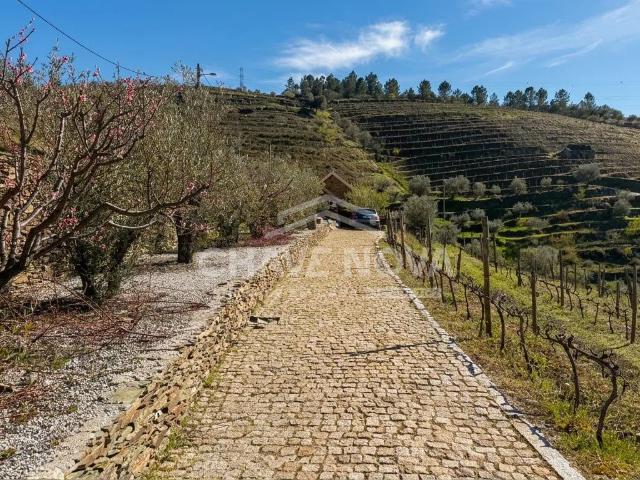 Casa venda em Viseu