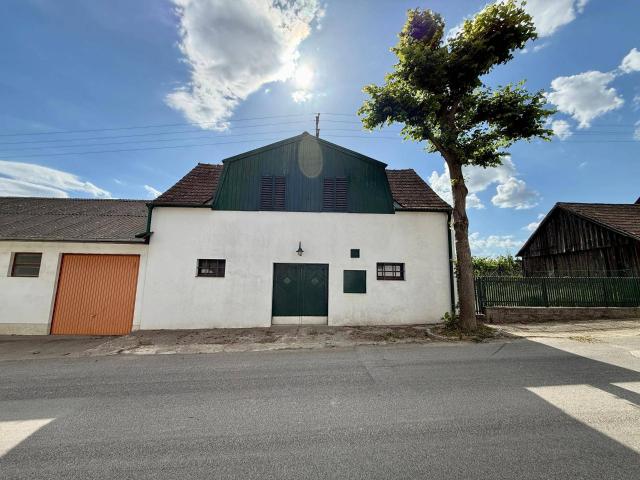 Haus kaufen in Alberndorf im Pulkautal, Niederösterreich