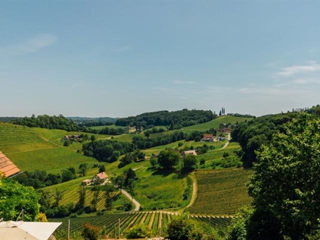 Schloss kaufen in Straß, Steiermark