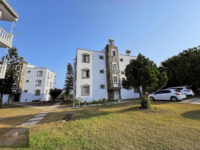 Yumurtalik, Adana içerisinde satılık mülk