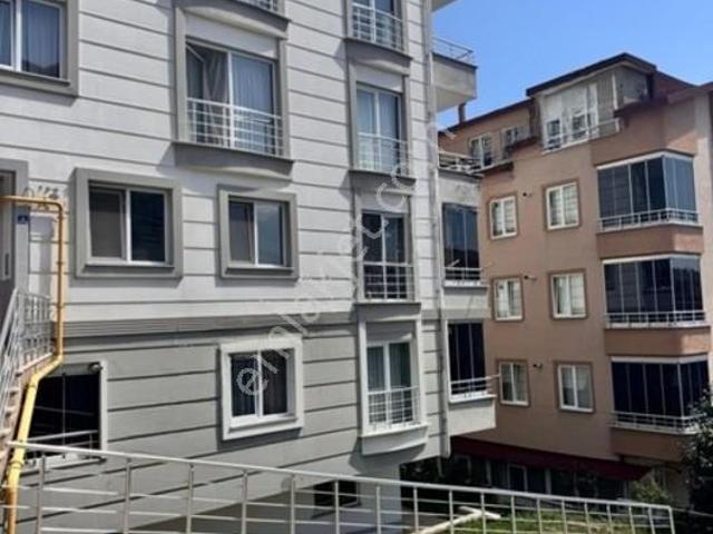 Ordu içerisinde kiralık mülk