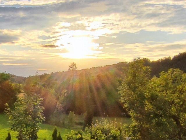 Immobilie kaufen in Elixhausen, Salzburg