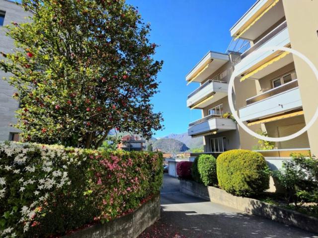 Wohnung kaufen in Losone