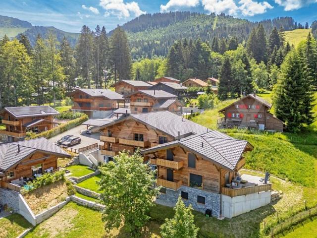 Wohnung kaufen in Châtel-Saint-Denis, Freiburg