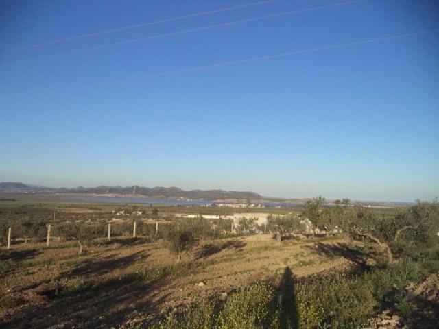 Terrain vente à Bir Mcherga