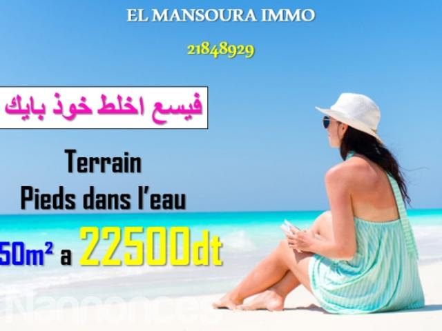 Terrain vente