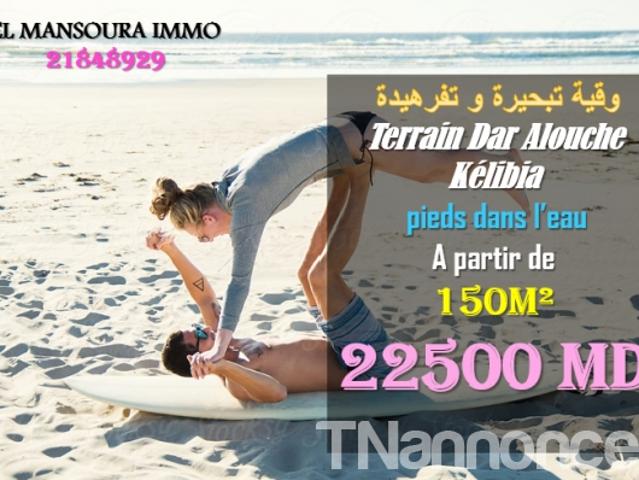 Terrain vente
