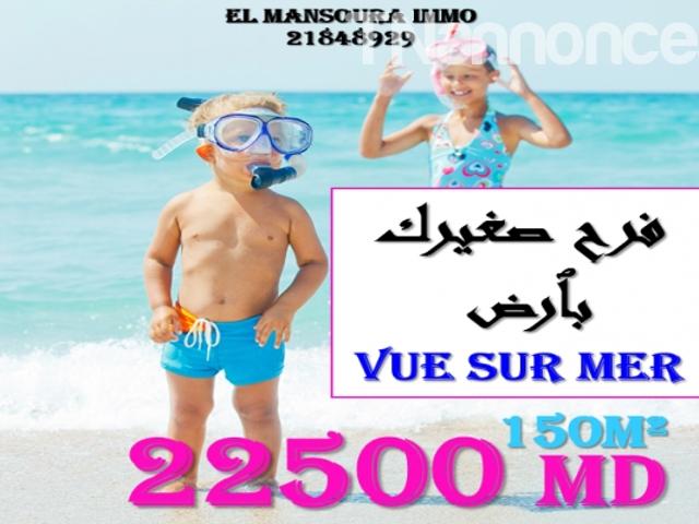 Terrain vente