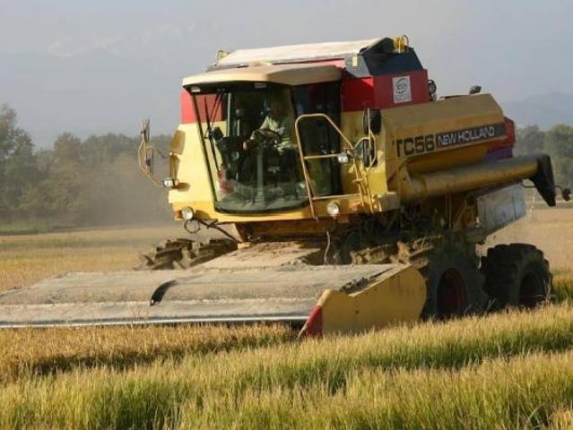 Terreno in vendita a Piemonte, Vercelli