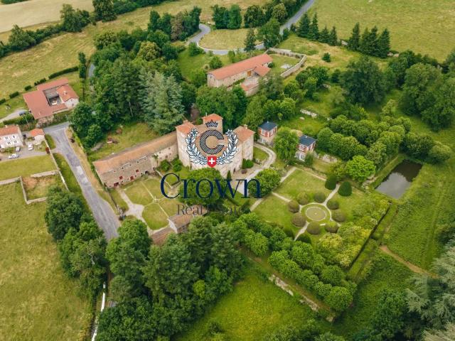 Château vente à Saint-Galmier, Loire