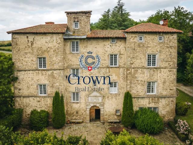 Château vente à Montbrison, Saint-galmier