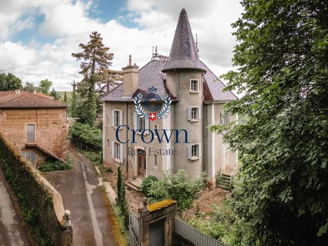 Château vente à Saint-Jean-d'Ardières, Belleville-en-Beaujolais