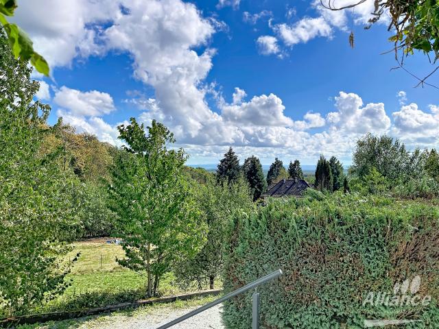 Maison vente à Masevaux, Masevaux-Niederbruck