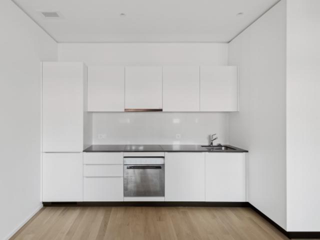 Wohnung mieten in Lugano