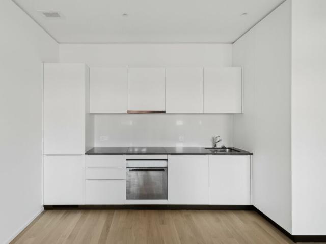Etagenwohnung mieten in Lugano