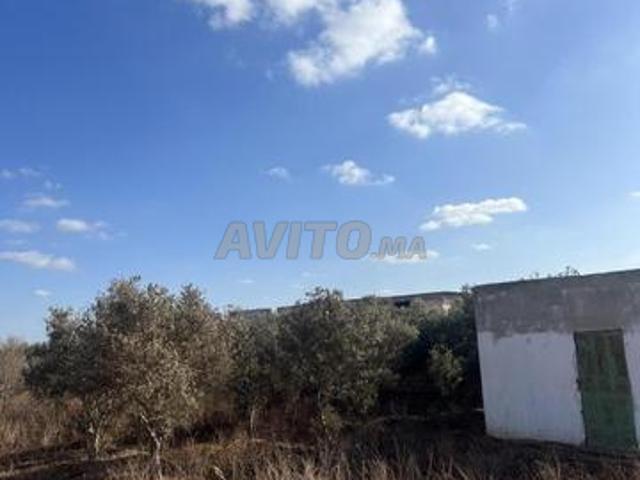 Propriété vente à Slimane, Gharb-Chrarda-Beni Hssen