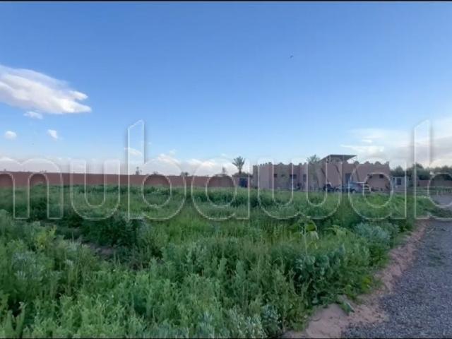 Terrain vente à Oulad Hassoun, L'Oriental