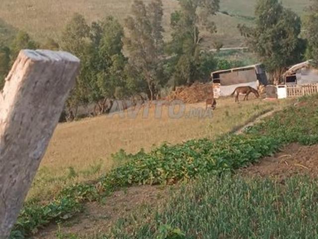 Propriété vente à Tangero, Tanger-Tétouan