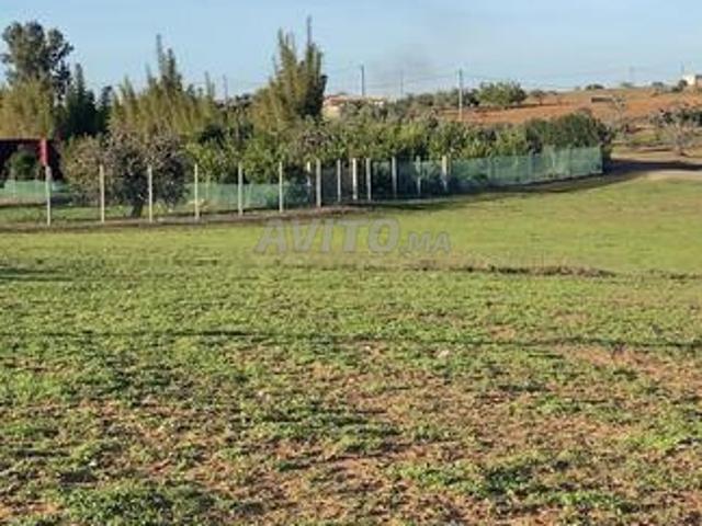 Propriété vente à Sidi Allal El Bahraoui