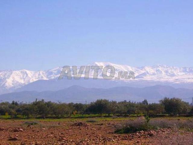 Propriété vente à Al Haouz, L'Oriental