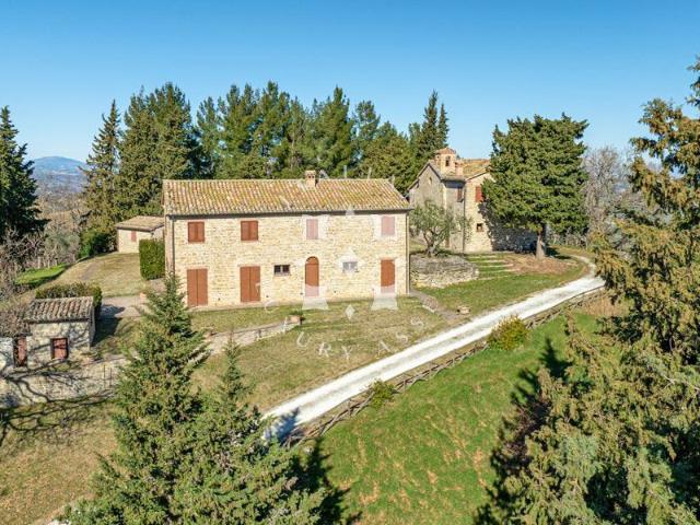 Locale Commerciale in vendita a San Bartolomeo, Marche