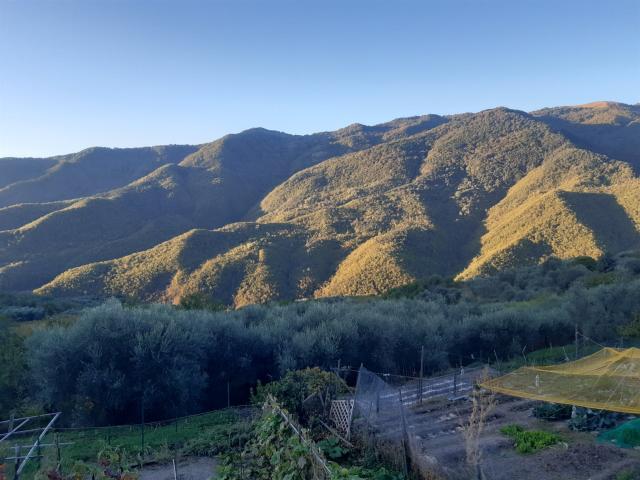 Casa in vendita a Pornassio, Liguria